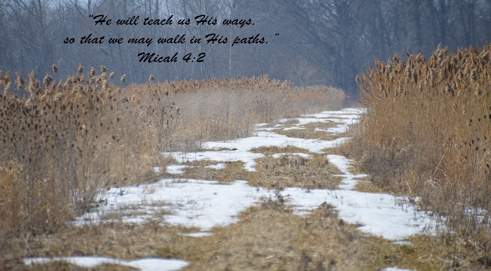 4 Dec His way w Bible Verse.jpg